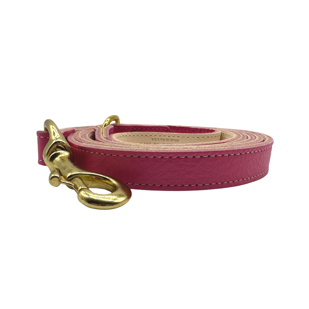 Bonne et Filou Plain Leather Dog Leashes