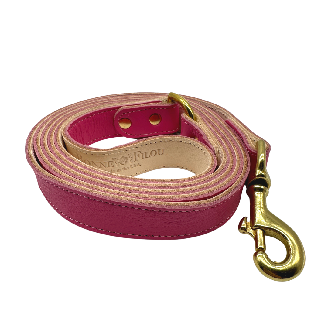 Bonne et Filou Plain Leather Dog Leashes