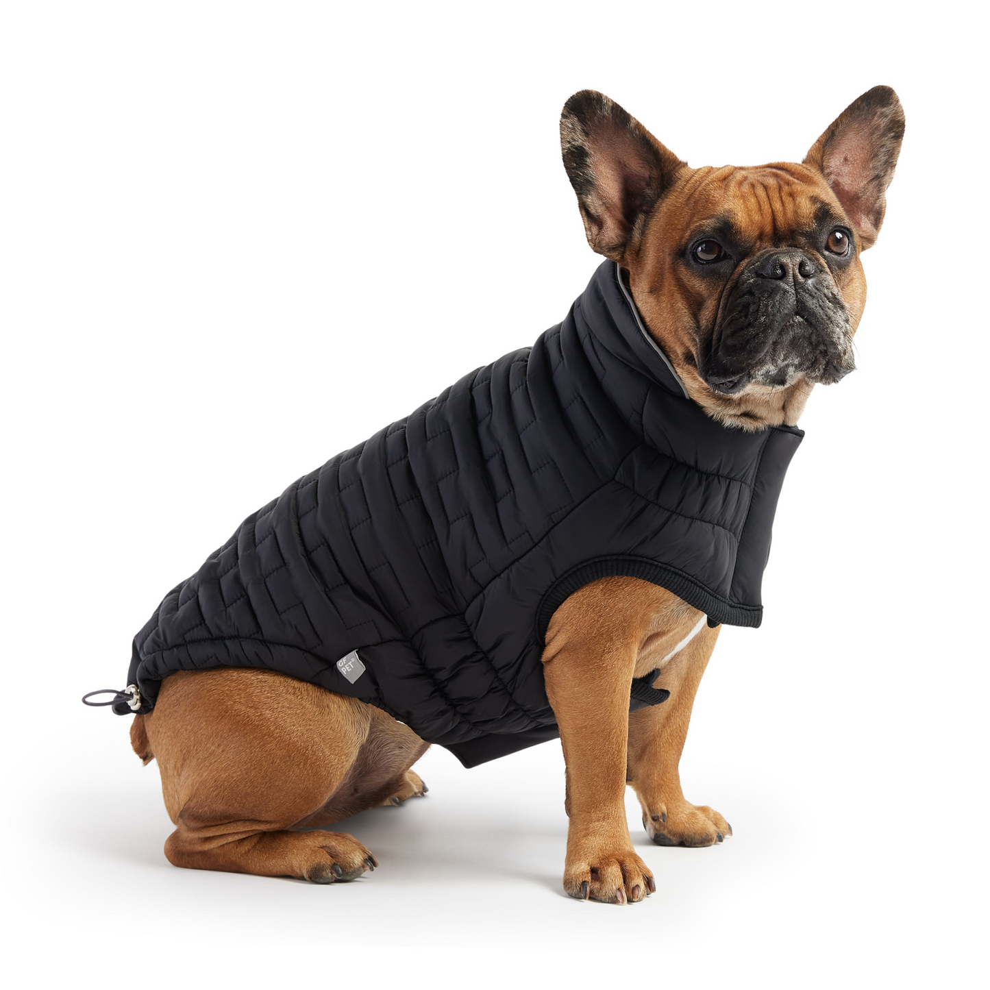 GF Pet Reversible Chalet Jacket - Black