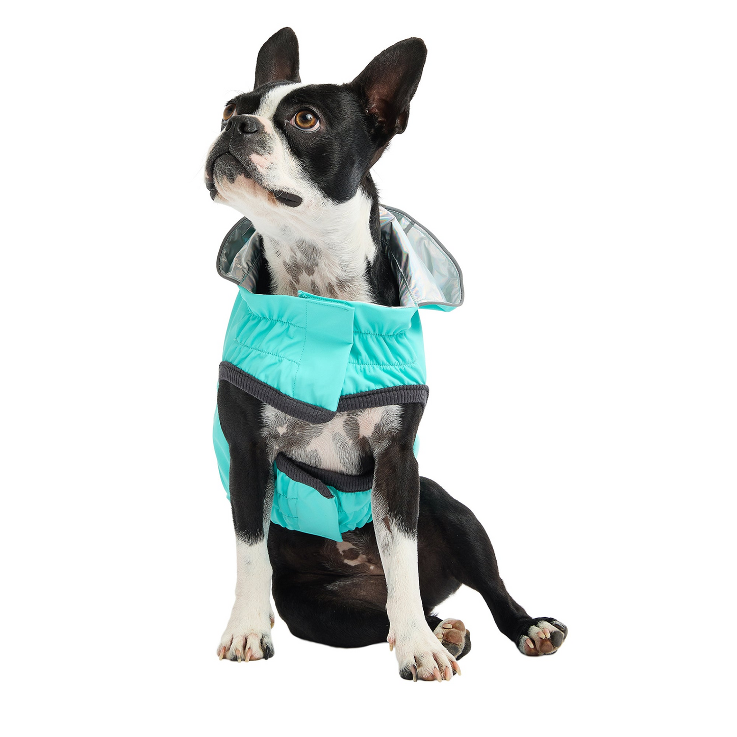 GF Pet Reversible Raincoat - Neon Aqua with Iridescent