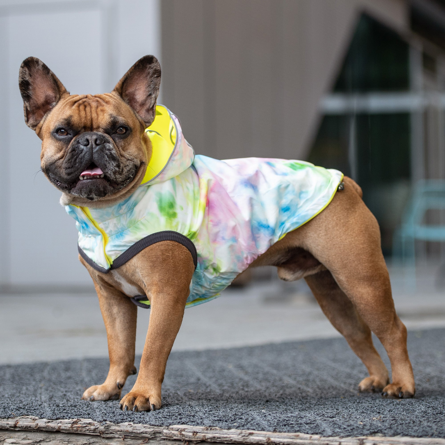 GF Pet Reversible Raincoat - Neon Yellow with Tie Dye