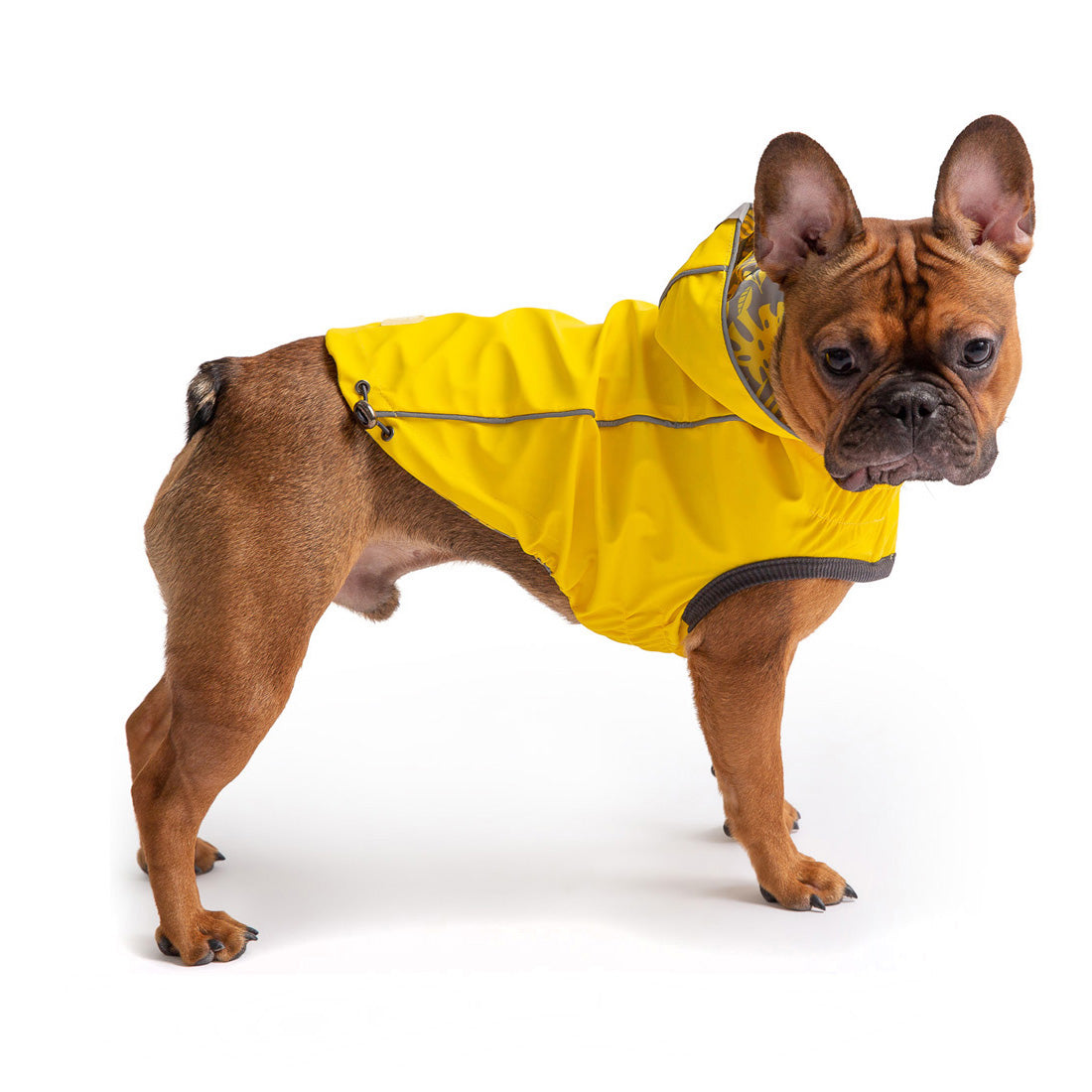 GF Pet Reversible Elasto-Fit Raincoat - Yellow