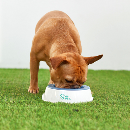 Cuenco de hielo - Cuenco de agua refrescante para mascotas