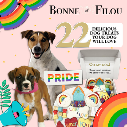 Caja de regalo de golosinas para perros con temática Bonne et Filou Pride