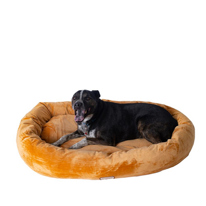 Armarkat Large Bolstered Pet Bed and Mat in Earth Brown