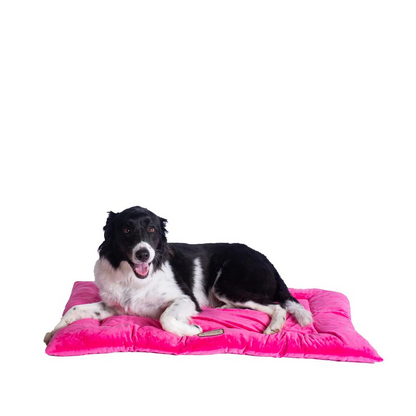 Armarkat Alfombrilla grande para cama para mascotas en rosa vibrante - Modelo M01CZH-L con cojín de relleno de poliéster de felpa para perros