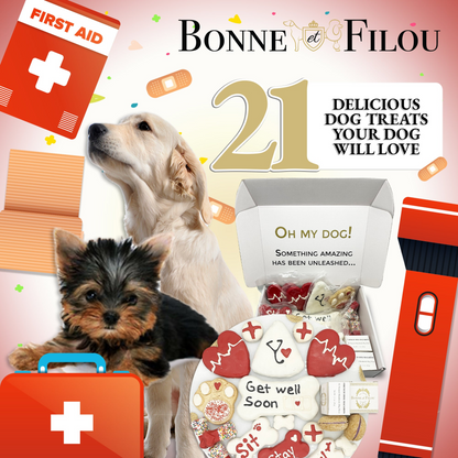 Bonne et Filou Caja de regalo con golosinas para perros temáticas "Que te mejores pronto"