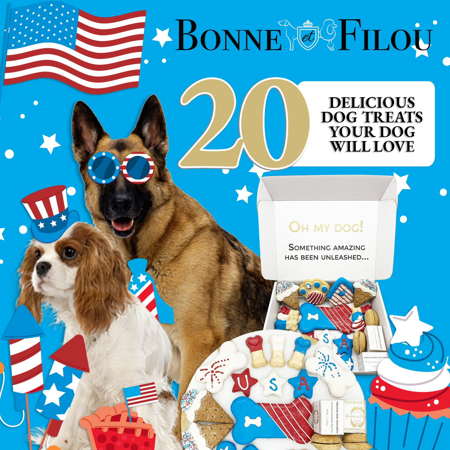 Bonne et Filou USA Themed Dog Treats Gift Box