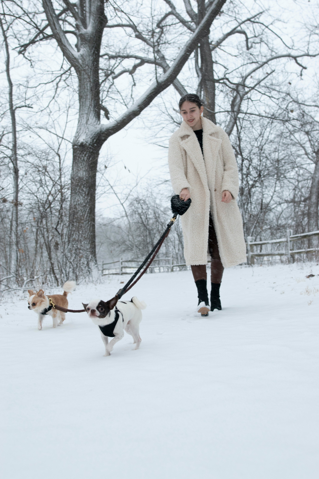 Bonne et Filou Shearling Fur Grip For Your Leash