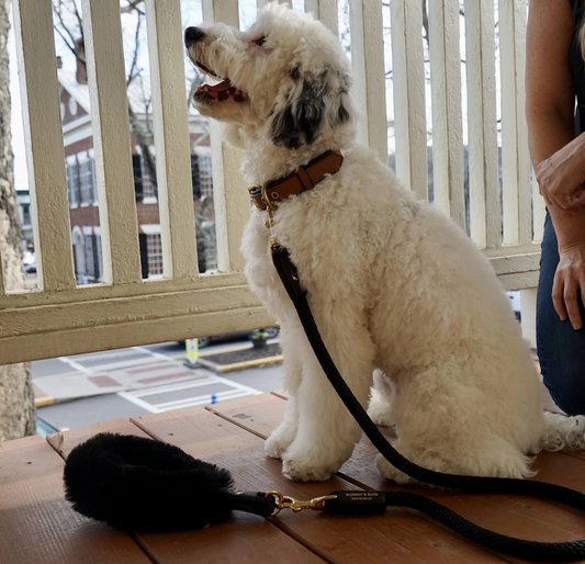 Paquete de agarre de piel de oveja + correa de cuerda para perros 