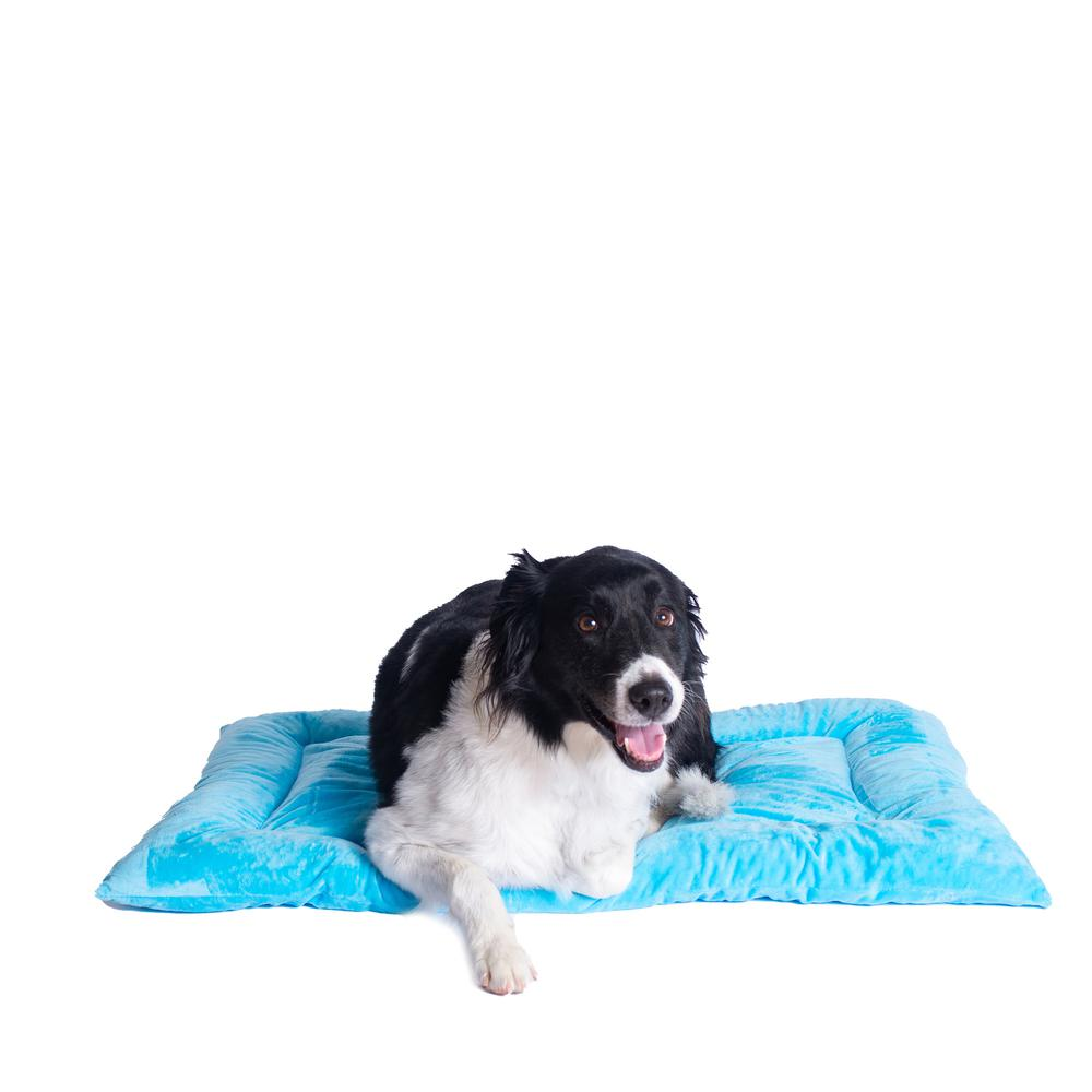 Armarkat Large Pet Bed Mat in Sky Blue, Soft Velvet with Extra Thick Poly Fill Cushion