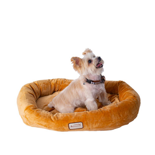 Cama y tapete para mascotas pequeños reforzados Armarkat en color marrón tierra - Modelo D02CZS-S