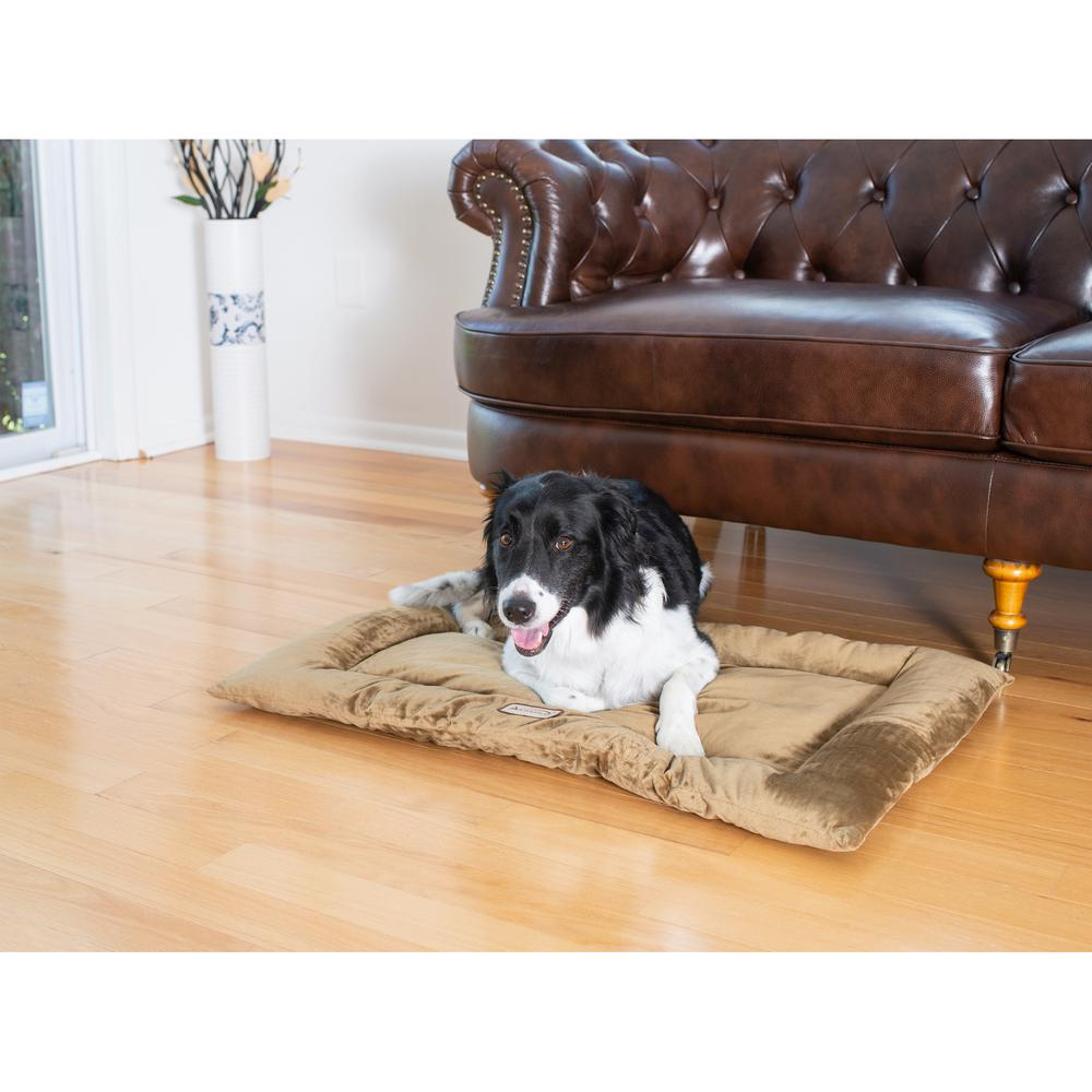 Armarkat Large Pet Bed Mat in Sage Green, Soft Velvet with Extra Thick Poly Fill Cushion