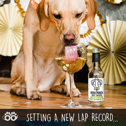 Posh Pooch Dog Wine Duo Pack (Non-Alcoholic)