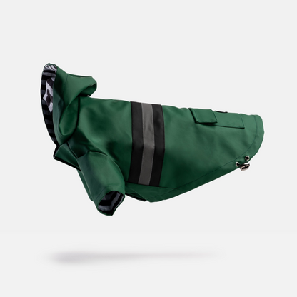 Bundle Aden Dog Raincoat - Green + Life Jacket