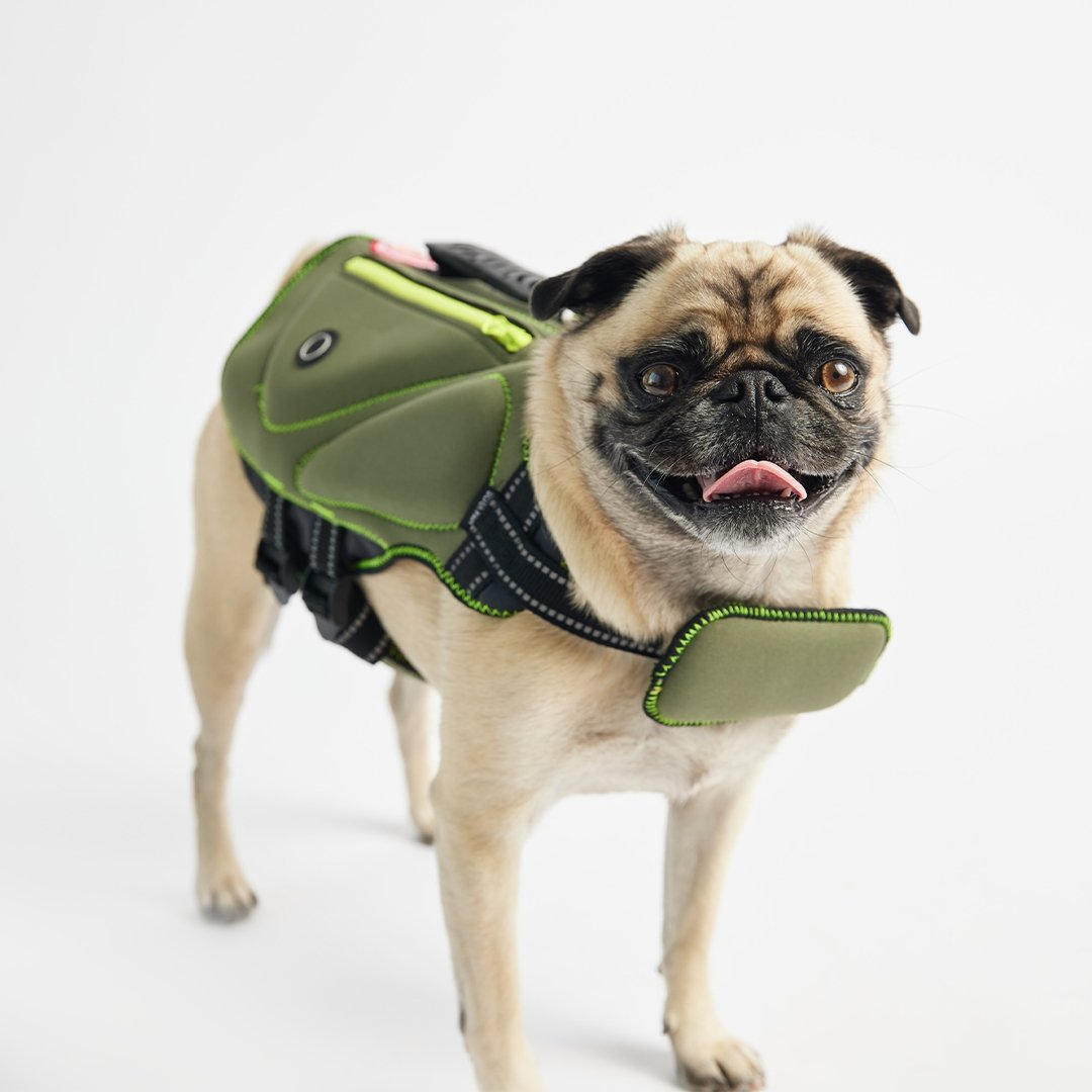 Bundle Aden Dog Raincoat - Green + Life Jacket