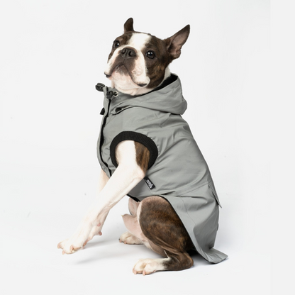 Bundle Max – Reflective Raincoat + Life Jacket - Keep Your Pup Safe and Stylish