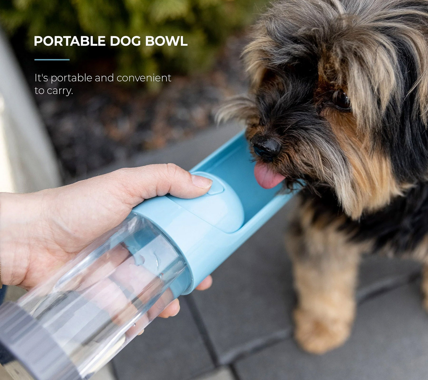 Botella de agua portátil para perros con filtro de carbón