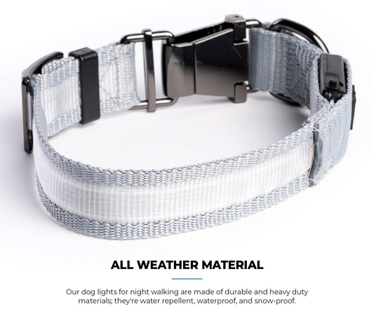 Collar para perro LED - Gris