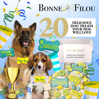 Bonne et Filou Congrats Themed Dog Treats Gift Box