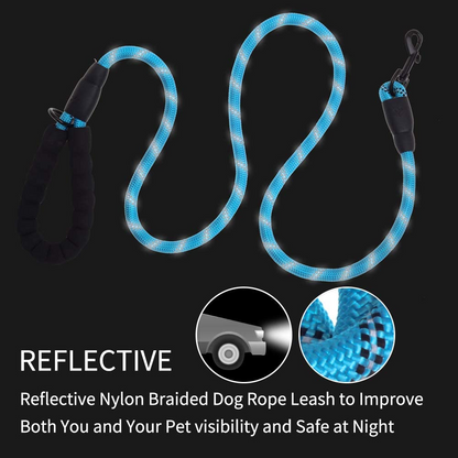 5 FT Thick Highly Reflective Dog Leash-Green