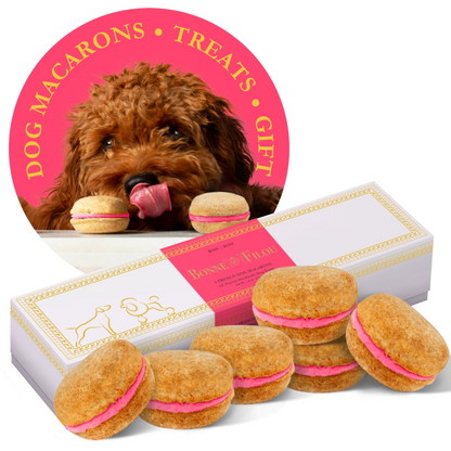 Macarons para perros Bonne et Filou (Caja de 6)