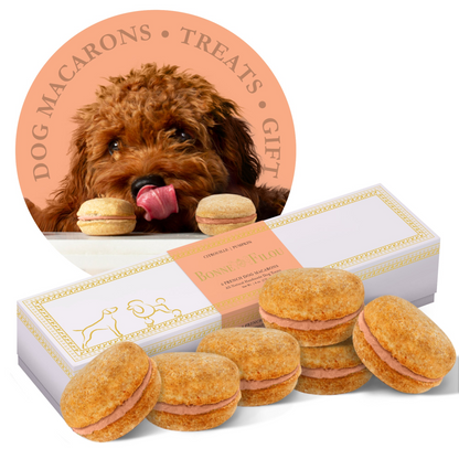 Macarons para perros Bonne et Filou (Caja de 6)