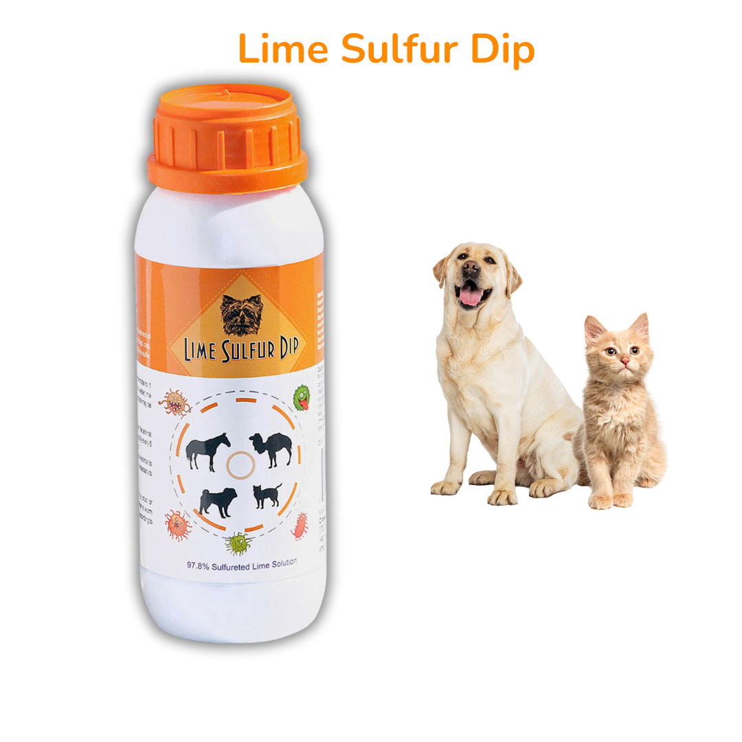 Solución completa para la salud de la piel de mascotas: combo de baño de lima y azufre y champú antiparasitario