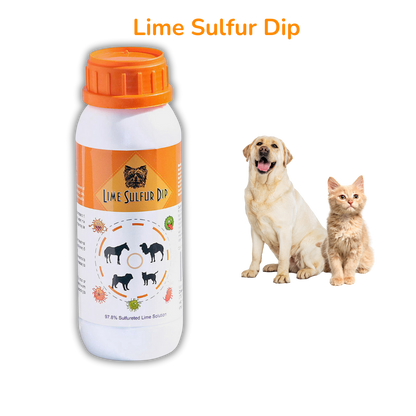 Solución completa para la salud de la piel de mascotas: combo de baño de lima y azufre y champú antiparasitario