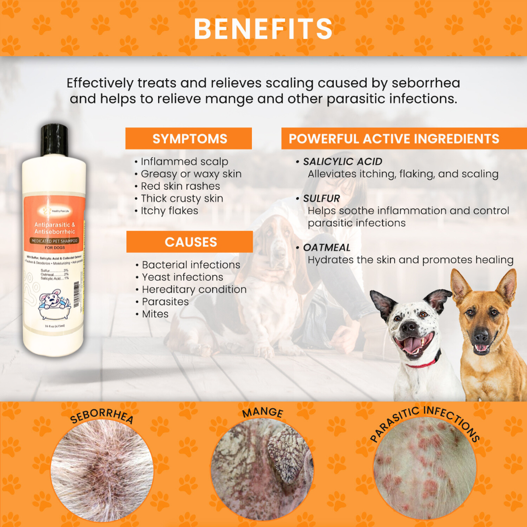 Complete Skin Health Solution for Pets: Lime Sulfur Dip & Antiparasitic Shampoo Combo