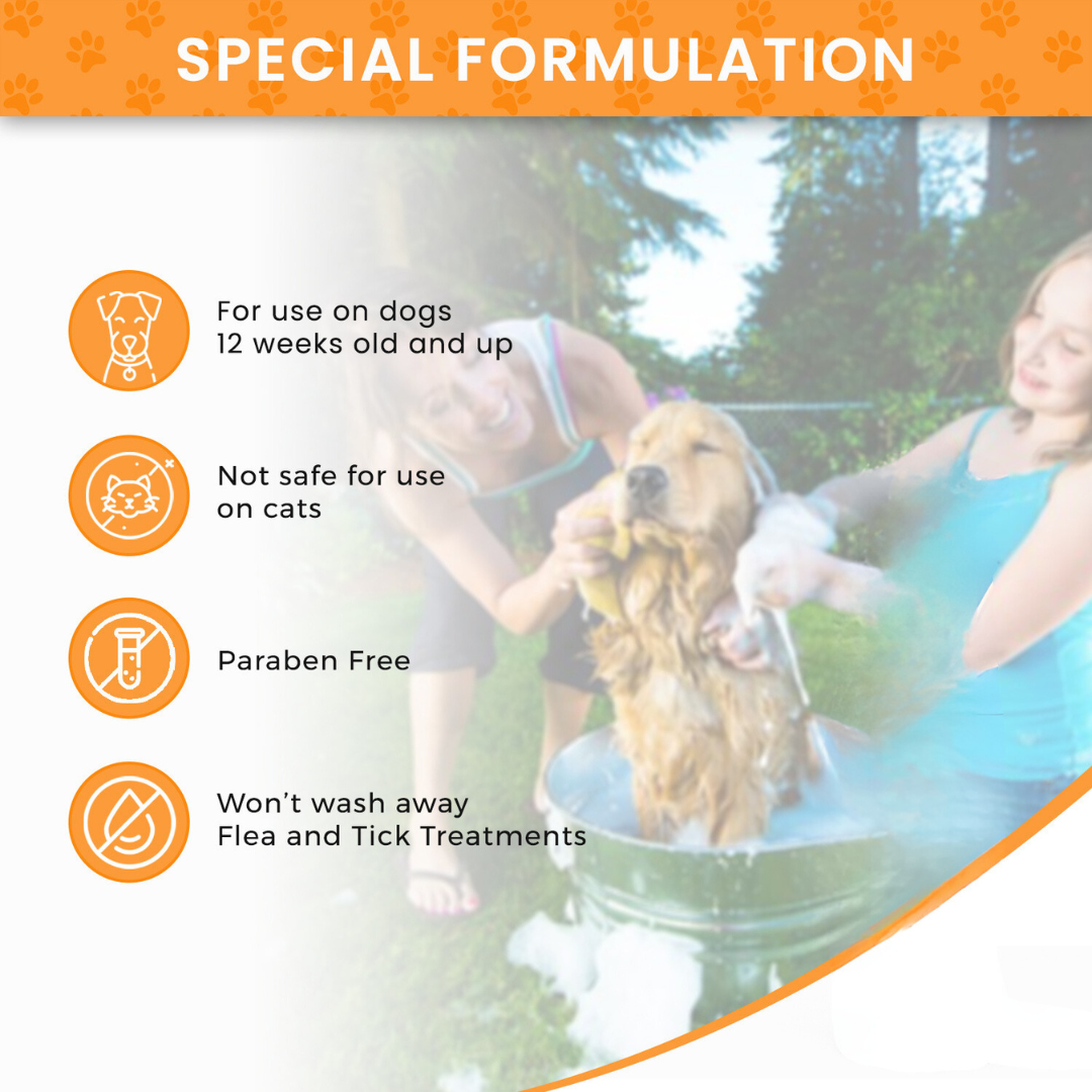 Complete Skin Health Solution for Pets: Lime Sulfur Dip & Antiparasitic Shampoo Combo