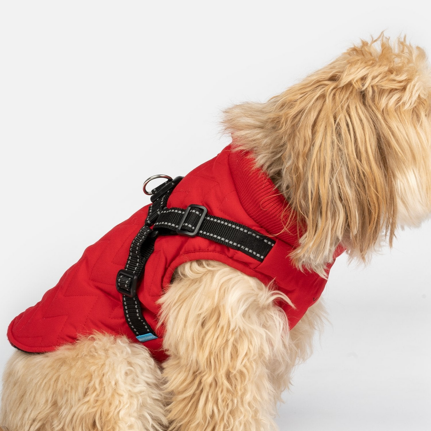 Chaqueta acolchada para perros con arnés incorporado - Rojo | Para todo tipo de clima, ajustable, fácil de poner y quitar