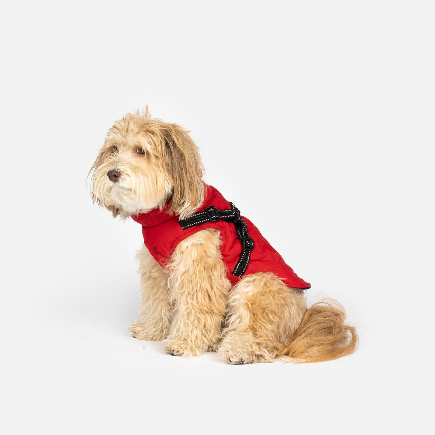 Quilted Dog Jacket With Built-In Harness - Red | All-Weather, Adjustable, Easy On and Off