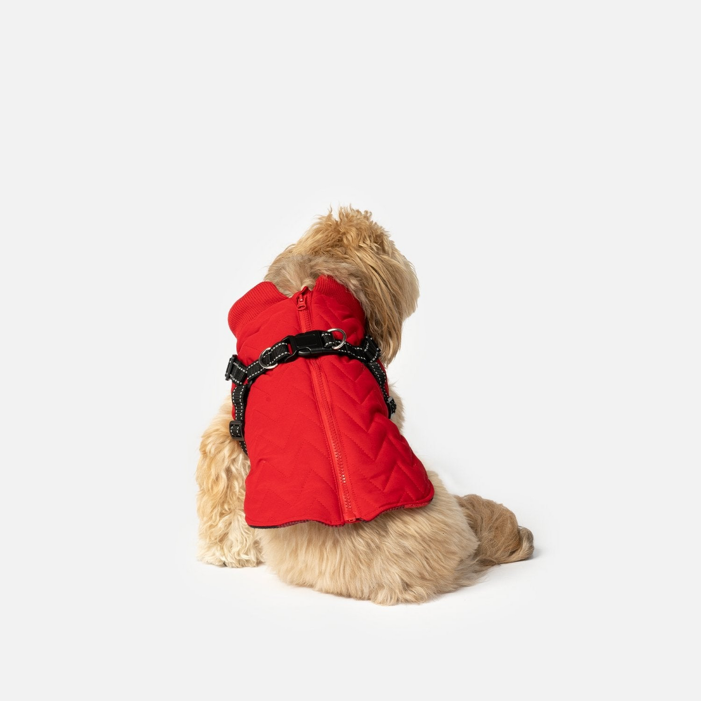 Chaqueta acolchada para perros con arnés incorporado - Rojo | Para todo tipo de clima, ajustable, fácil de poner y quitar