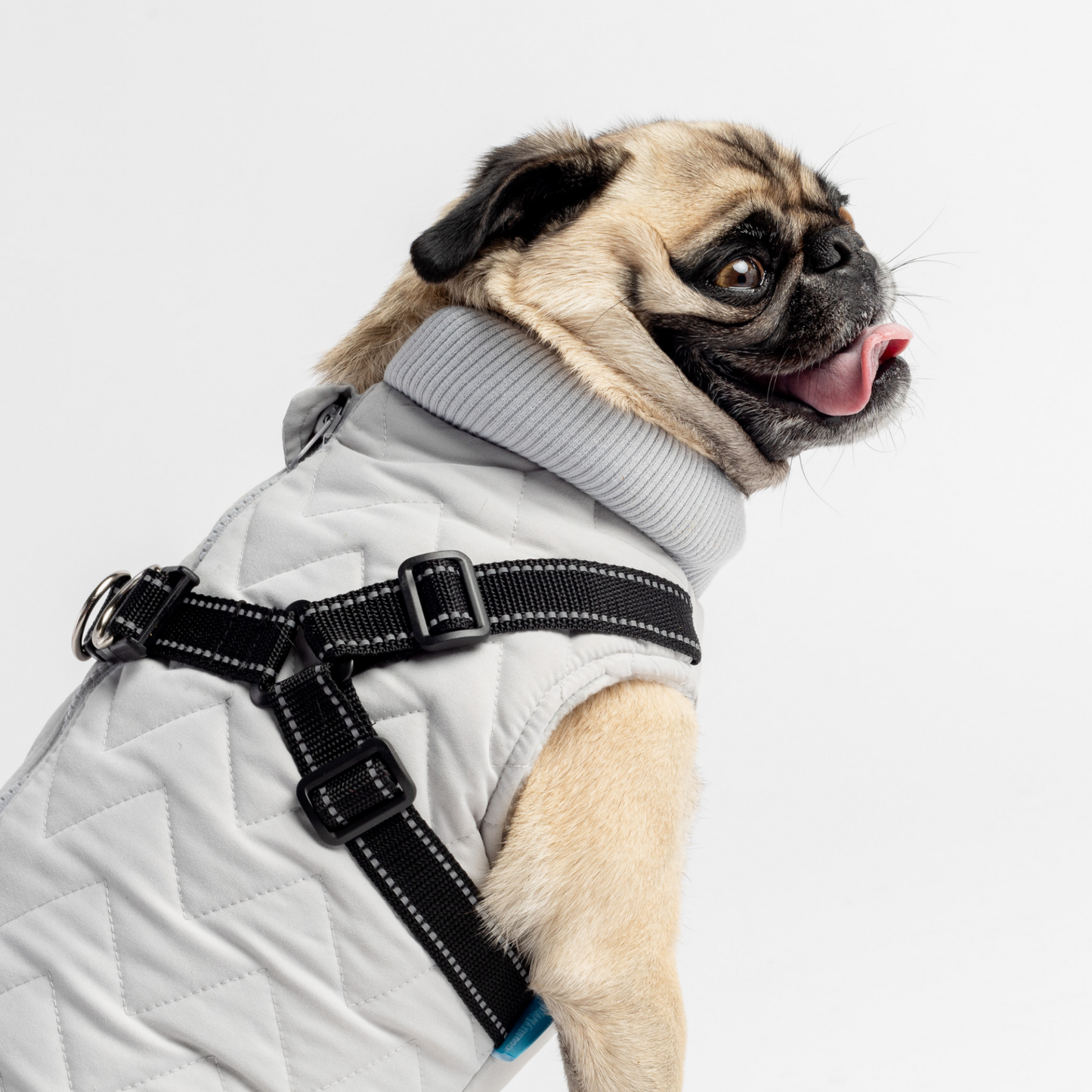 Chaqueta acolchada para perros con arnés incorporado - Gris