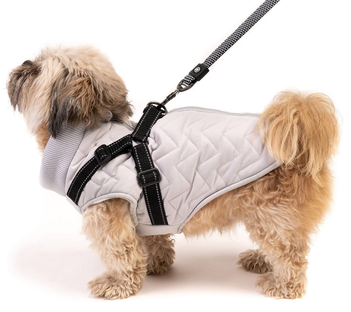 Chaqueta acolchada para perros con arnés incorporado - Gris