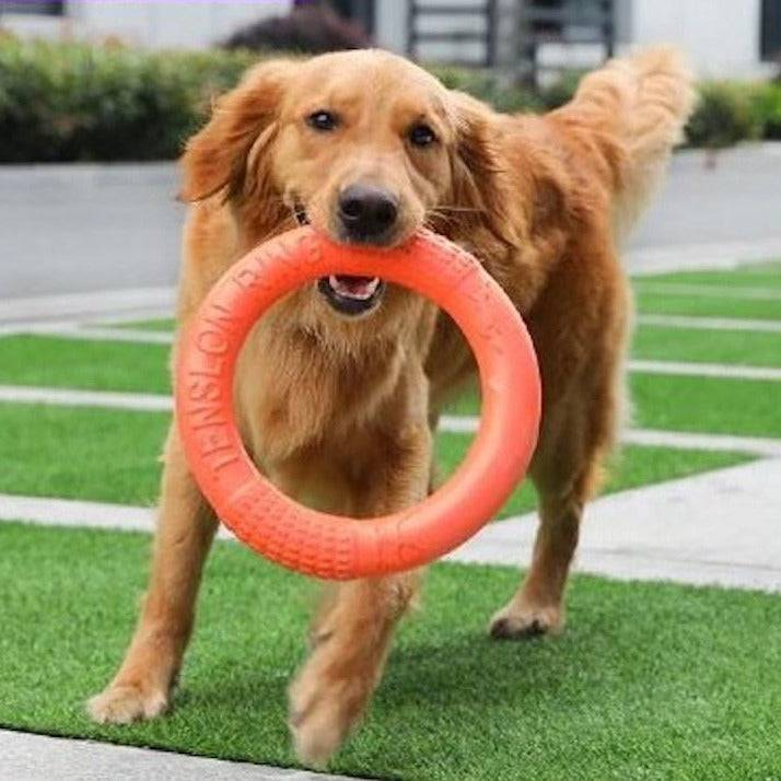 Juguete de anillo para perros duradero: perfecto para jugar al aire libre y divertirse en el agua