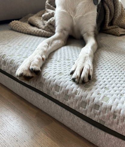 EKO EcoPur Restorative Mattress for Dogs | Sustainable Luxury and Comfort