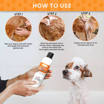 Healthy Paw Life Sulfur Salicylic Acid Oatmeal Dog Shampoo