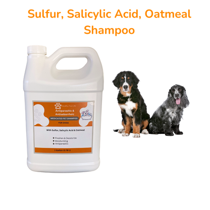 Healthy Paw Life Lime Sulfur Dip and Antiparasitic & Antiseborrheic Sulfur Salicylic Acid Dog Shampoo- 1 Gallon Each - Parasite & Flea Safe Solution for Itchy Skin, Hot Spots, Yeast, Scabies & Mange