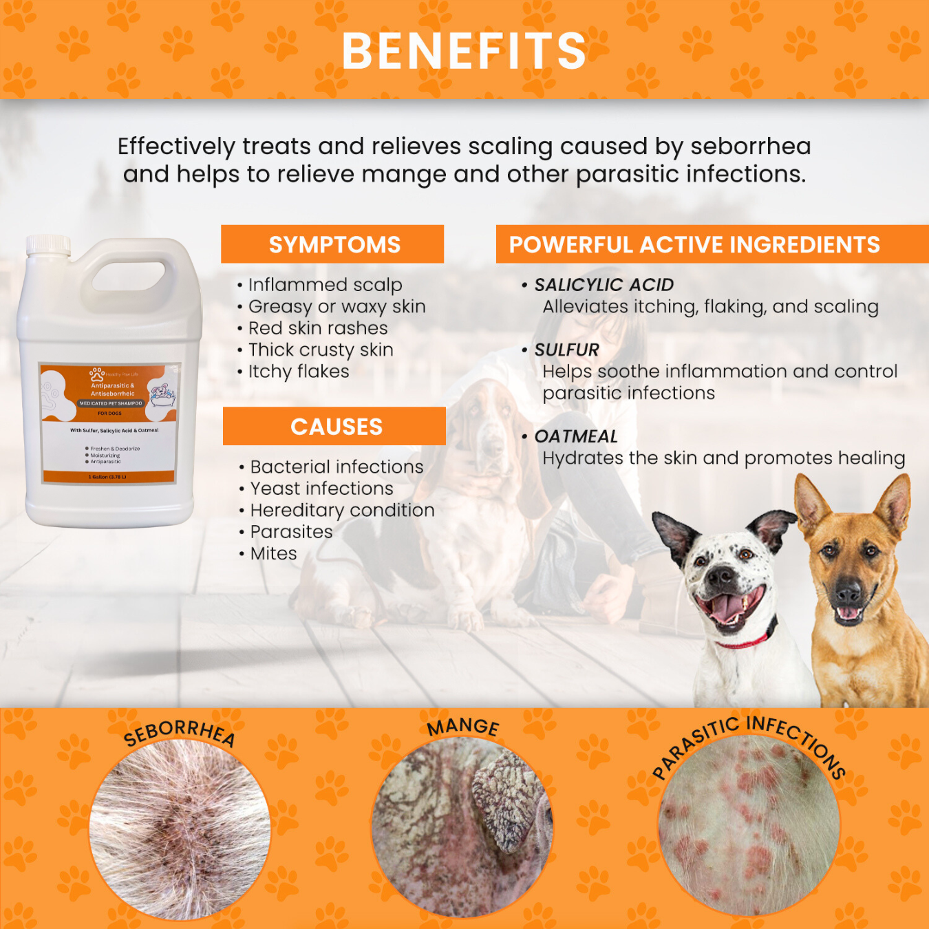 Healthy Paw Life Dip de azufre de lima y champú antiparasitario y antiseborreico para perros con ácido salicílico, 1 galón cada uno, solución segura para parásitos y pulgas para picazón en la piel, puntos calientes, levadura, sarna y sarna