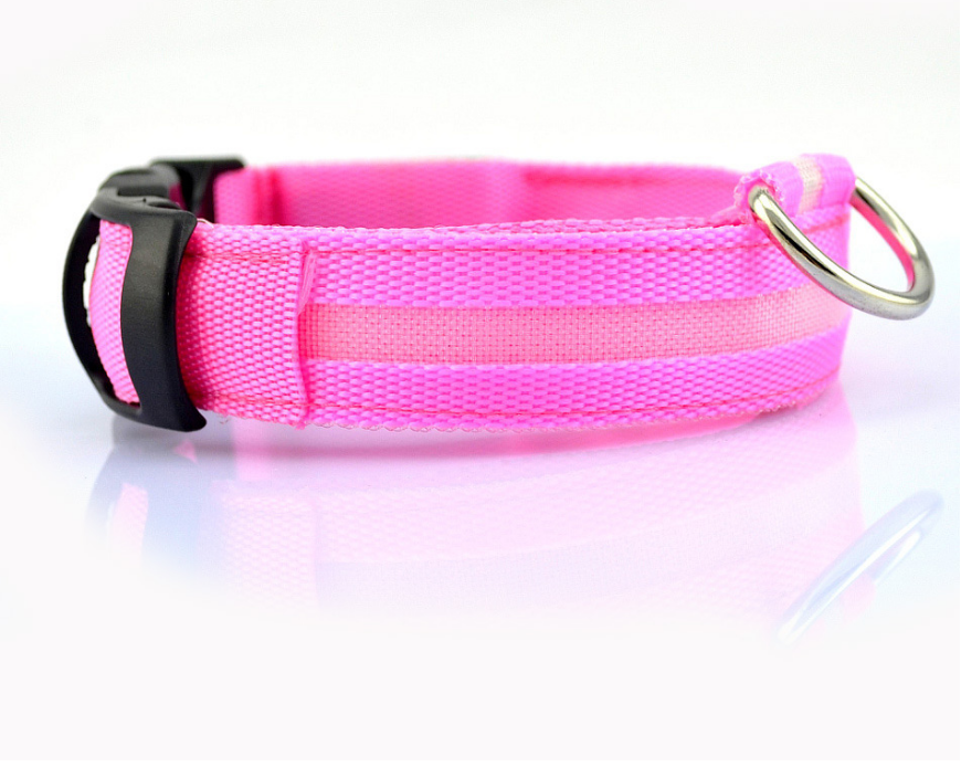 Nylon LED Pet Dog Luminous Collar: Night Safety Flashing Glow in Dark Dog Cat Leash