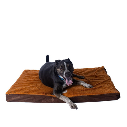 Armarkat Model Large Memory Foam Orthopedic Pet Bed Mat in Mocha & Earth Brown