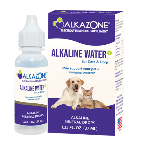 Alkazone® Pet Alkaline Water: Essential Dietary Supplement for Dogs