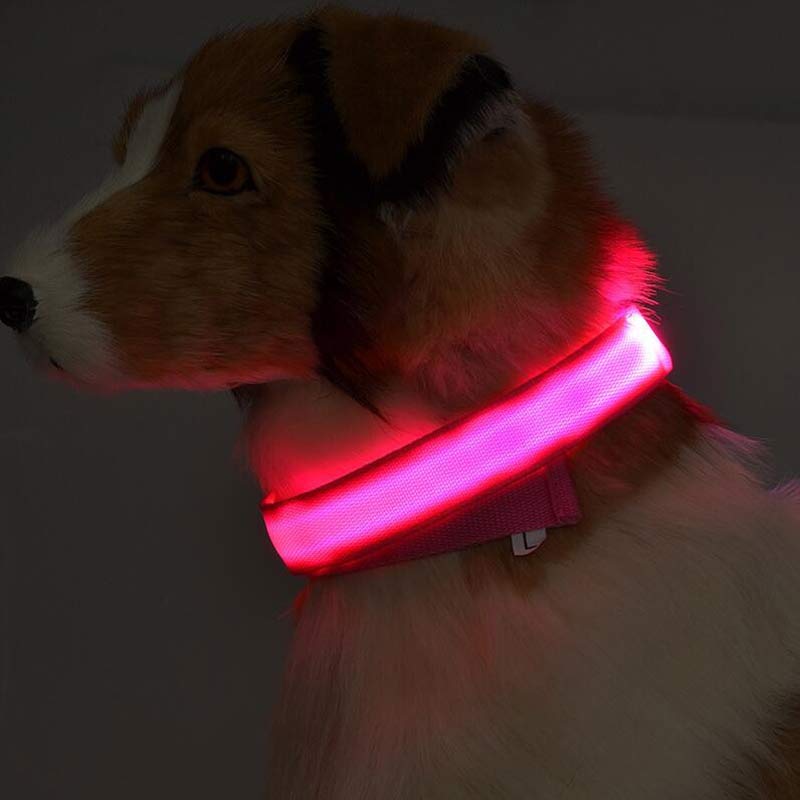 Nylon LED Pet Dog Luminous Collar: Night Safety Flashing Glow in Dark Dog Cat Leash