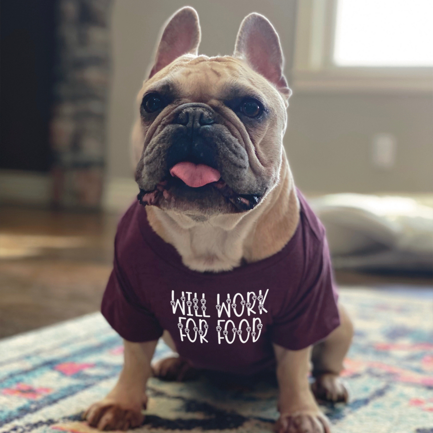 "Will Work For Food" Dog Shirt - Stylish Apparel for Your Pup | SquishyFaces