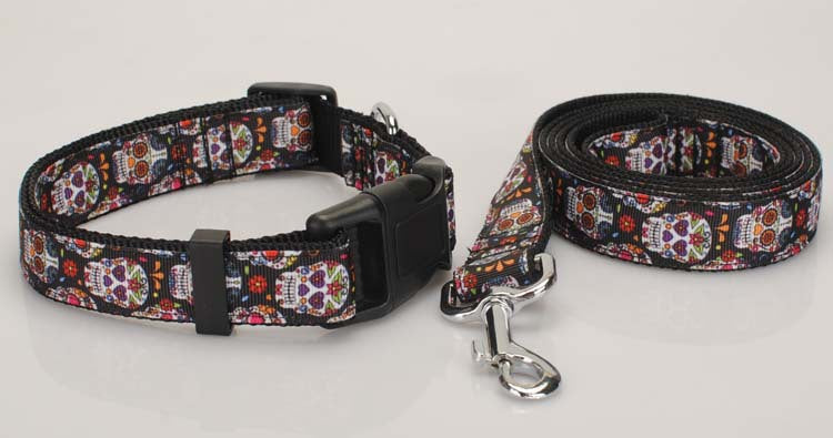 Multi-Colored Dog Seat Belt Tether/Collar/Leash