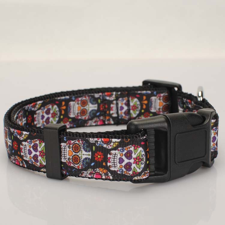 Multi-Colored Dog Seat Belt Tether/Collar/Leash