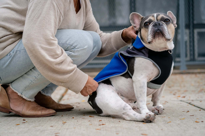 Chaqueta polar térmica para perros 2 en 1 con arnés integrado - Azul real | Mantenga a su perro abrigado y elegante