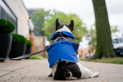 Chaqueta polar térmica para perros 2 en 1 con arnés integrado - Azul real | Mantenga a su perro abrigado y elegante